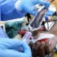 «Ntchina», l'App gabonaise qui aide les patients à trouver des donneurs de sang
