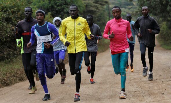 Comment l'activité sportive régénère le cerveau