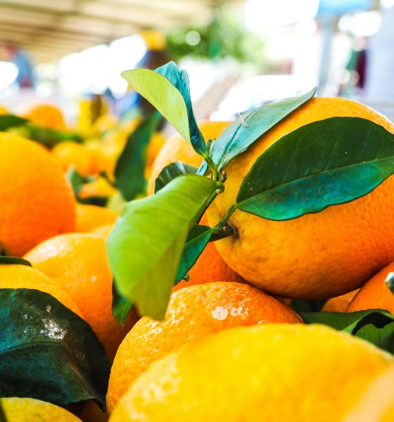 Ce que valent les oranges tunisiennes