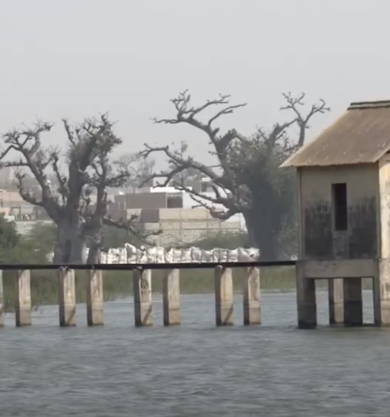 Le Sénégal doit sauver le bassin hydrique de Sébi Ponty