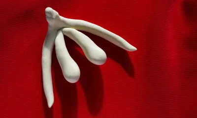Parler du clitoris n’est plus tabou