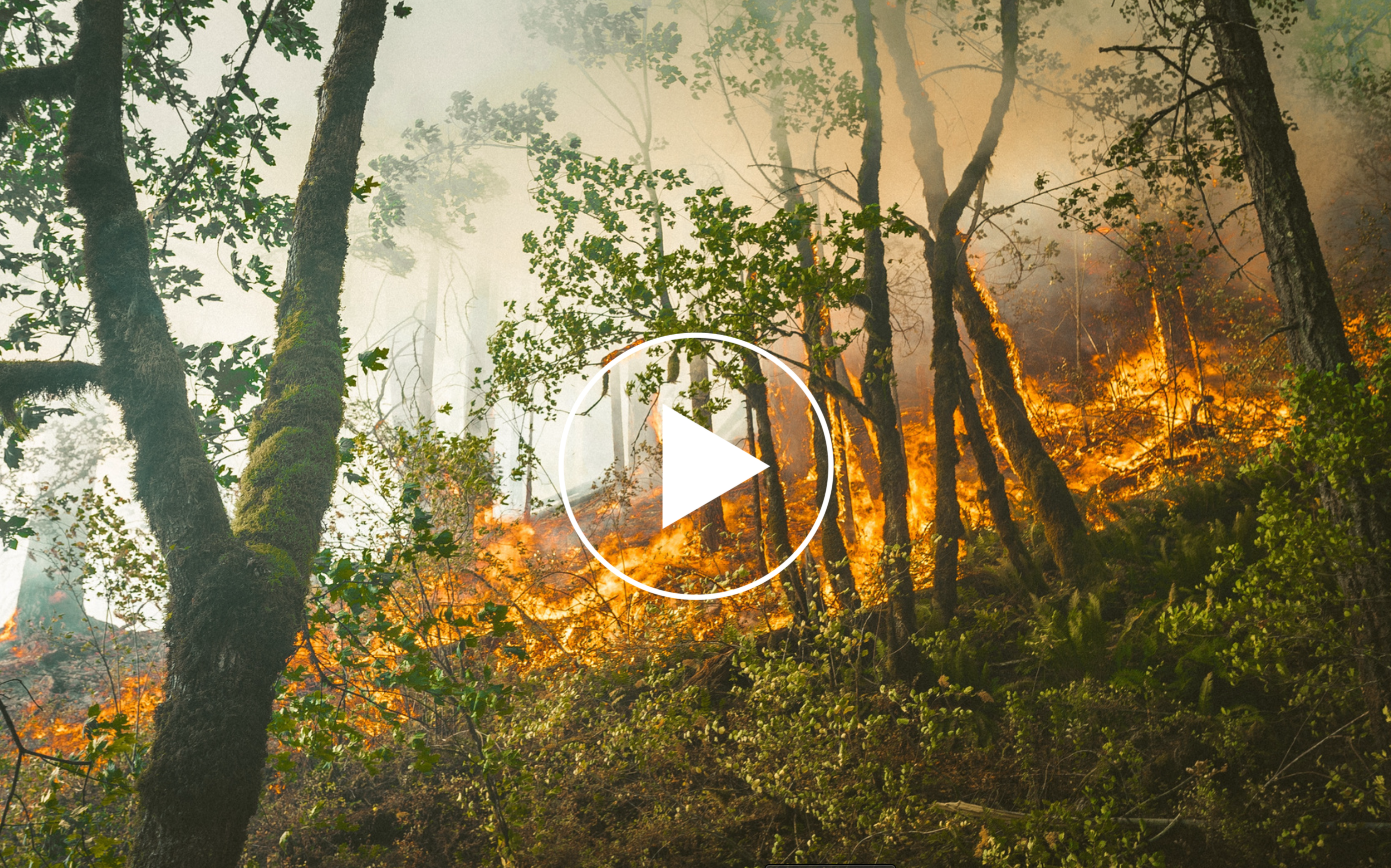 Incendies: comment les sinistrés sont-ils pris en charge?