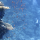 Pollution: la solution par le nettoyage des fonds marins