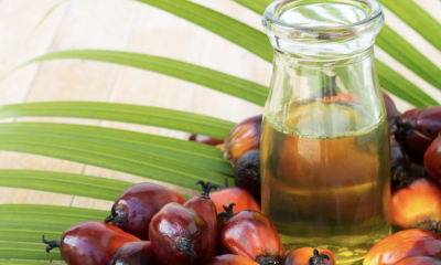 L’huile de palmiste, un anti-rides naturel