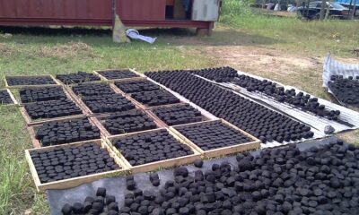 Des briquettes d'herbes pour remplacer le charbon de bois