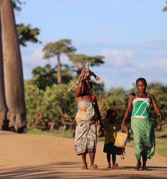 Faute de couverture médicale, les familles malgaches se ruinent pour soigner leurs proches