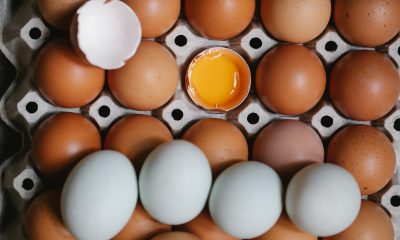 Manger de l’œuf cru, bonne ou mauvaise idée?