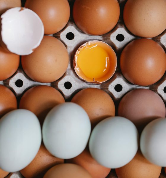 Manger de l’œuf cru, bonne ou mauvaise idée?