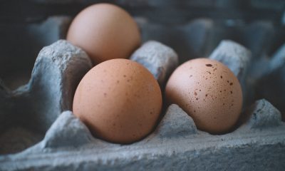 Pourquoi laver ses œufs n’est pas une bonne idée