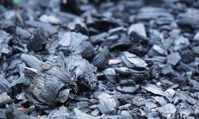 Le charbon de bois, utile pour lutter contre les moisissures