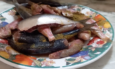 Pourquoi les sardines tunisiennes sont si appréciées?