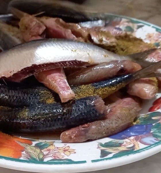 Pourquoi les sardines tunisiennes sont si appréciées?