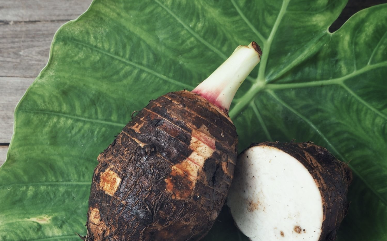 Comment le taro, tubercule venu d’Asie, s’est imposé en Afrique